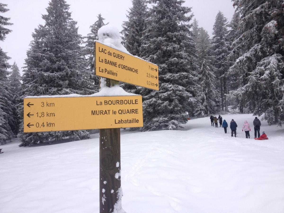 Duplex Superbe Vue Montagne Daire La Bourboule Dış mekan fotoğraf